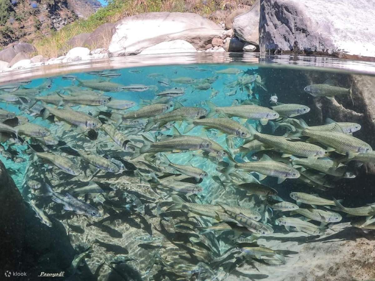 Parco naturale di Danaiku 