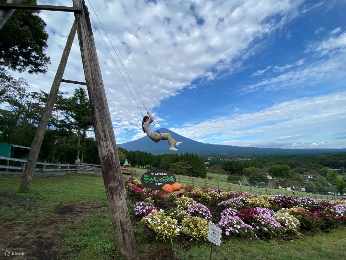 Mount Fuji Chartered Car Day Tour - Klook