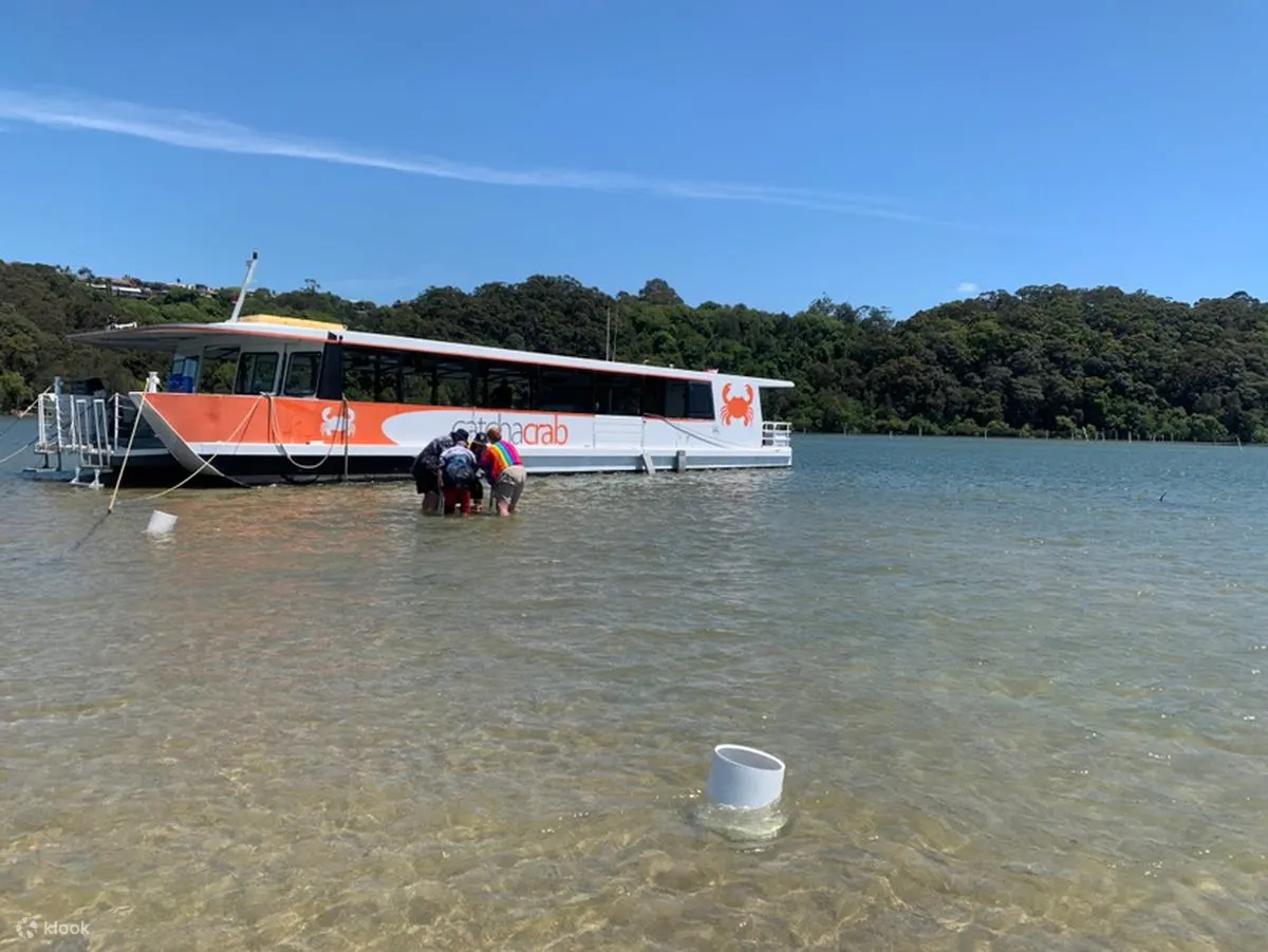 龙虾