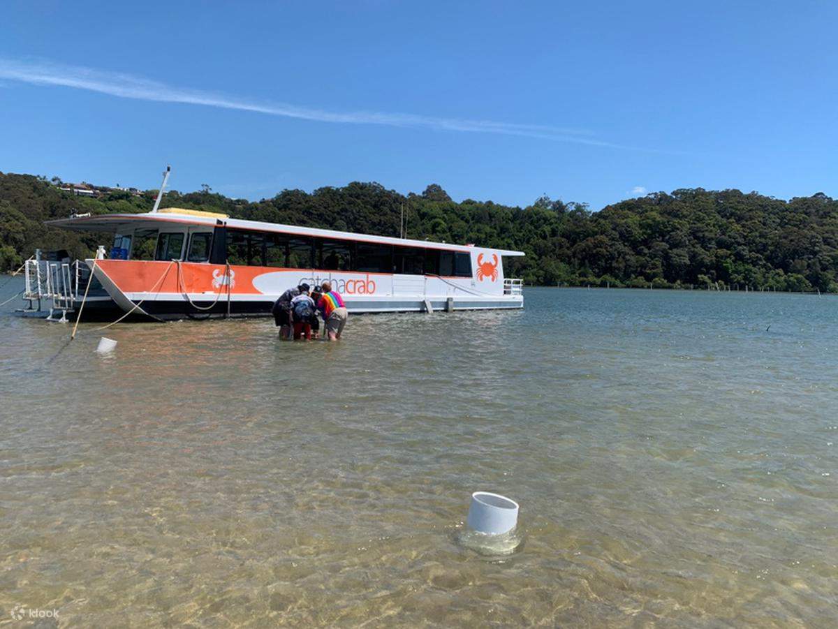 태즈메이니아 씨푸드 크루즈