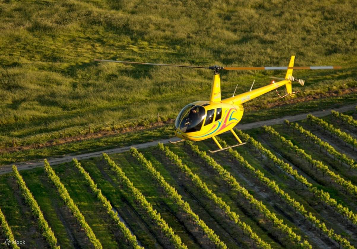 Pengalaman di Balik Layar Kilang Anggur dan Kebun Anggur Kies Family Wines