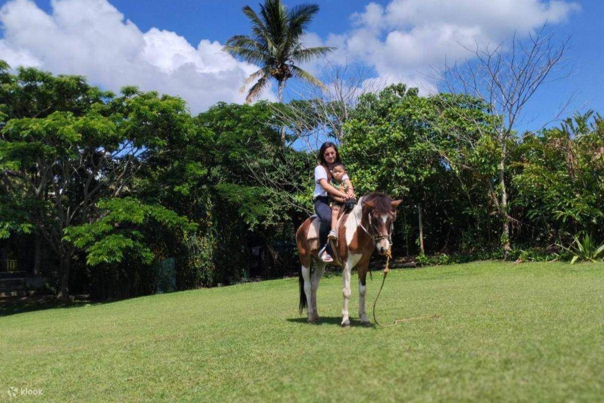 Piscina con varios toboganes y aspersores