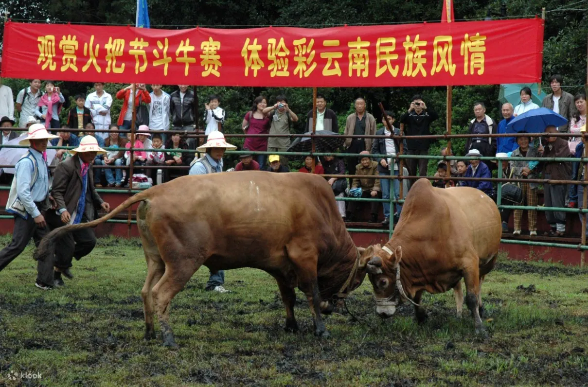 云南民族村套票