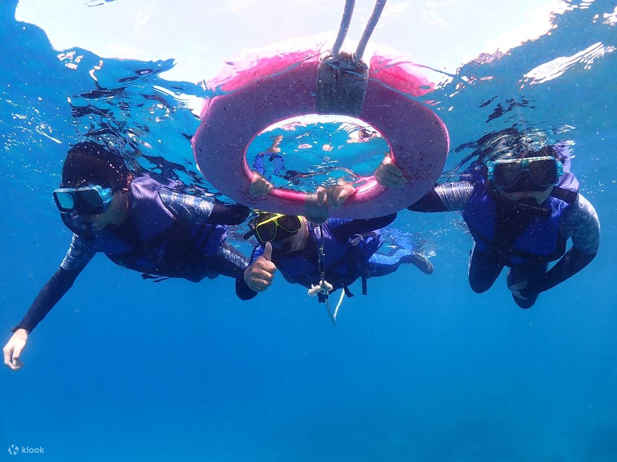 Xiao Liuqiu Yang Guang Kano - Kano · Kano Transparan · Pengalaman Snorkeling