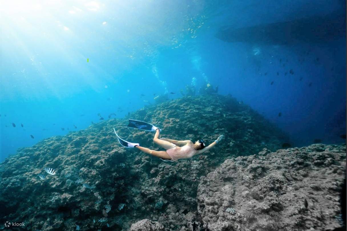 Die Kerama-Inseln sind als „Glasmeer“ bekannt, mit einer Sichtweite von über 30 Metern im Meerwasser. Erkunden Sie Korallenriffgärten, tropische Fische und haben Sie die Möglichkeit, Meeresschildkröten zu begegnen.