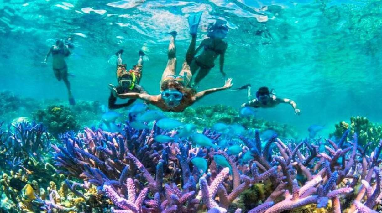 snorkeling terumbu karang