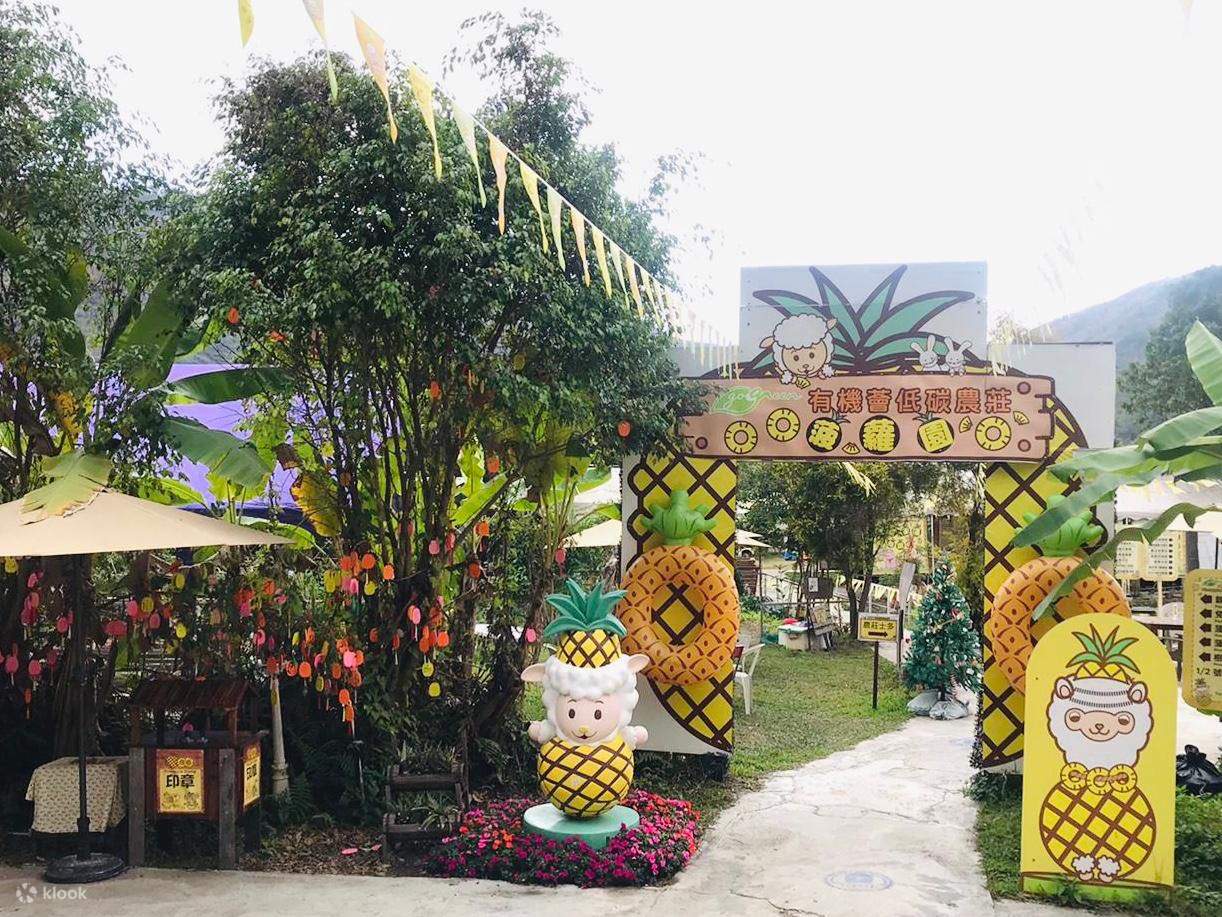 農莊體驗抗疫遊- 錦田篇有機菠蘿園- 私人包團／共遊- Klook香港
