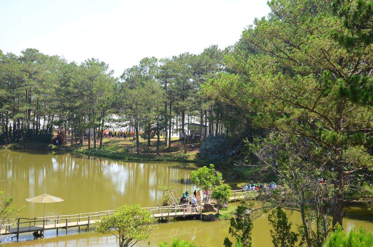 Vé Tham Quan Thung Lũng Vàng ở Đà Lạt - Klook Việt Nam