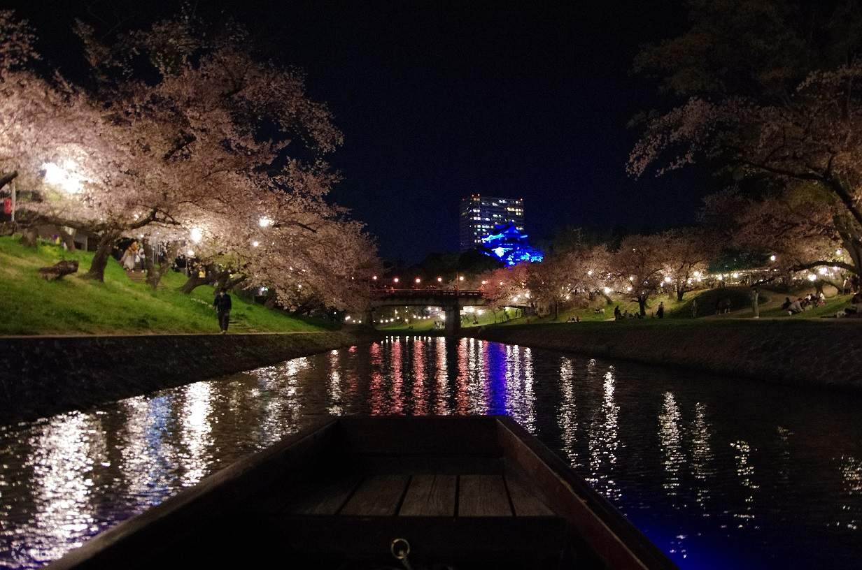 Okazaki Sakura Festival with Boating and Enjoy Lighted Up Sakura - Klook