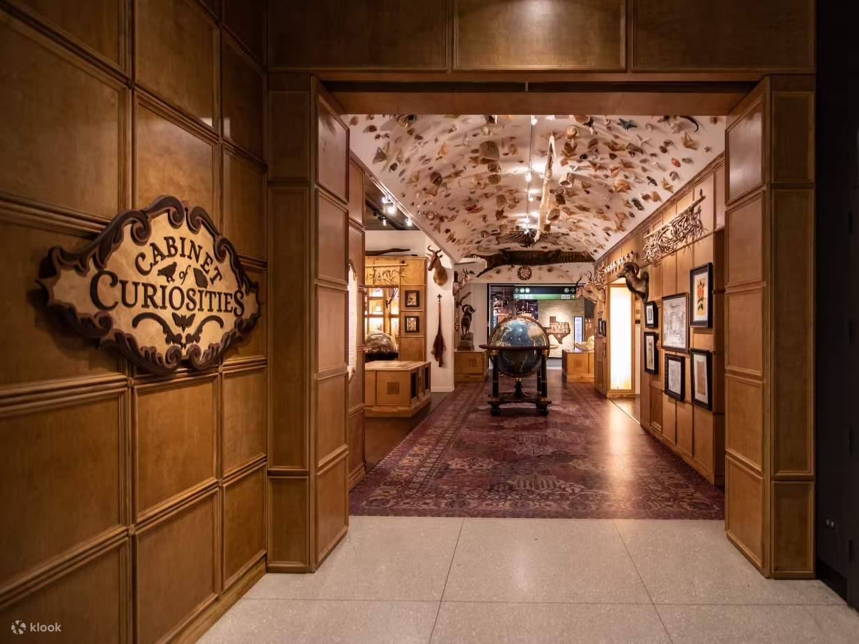 흥미로운 전시물을 관람하며 과학 및 역사에 대한 궁금증을 풀어보세요.