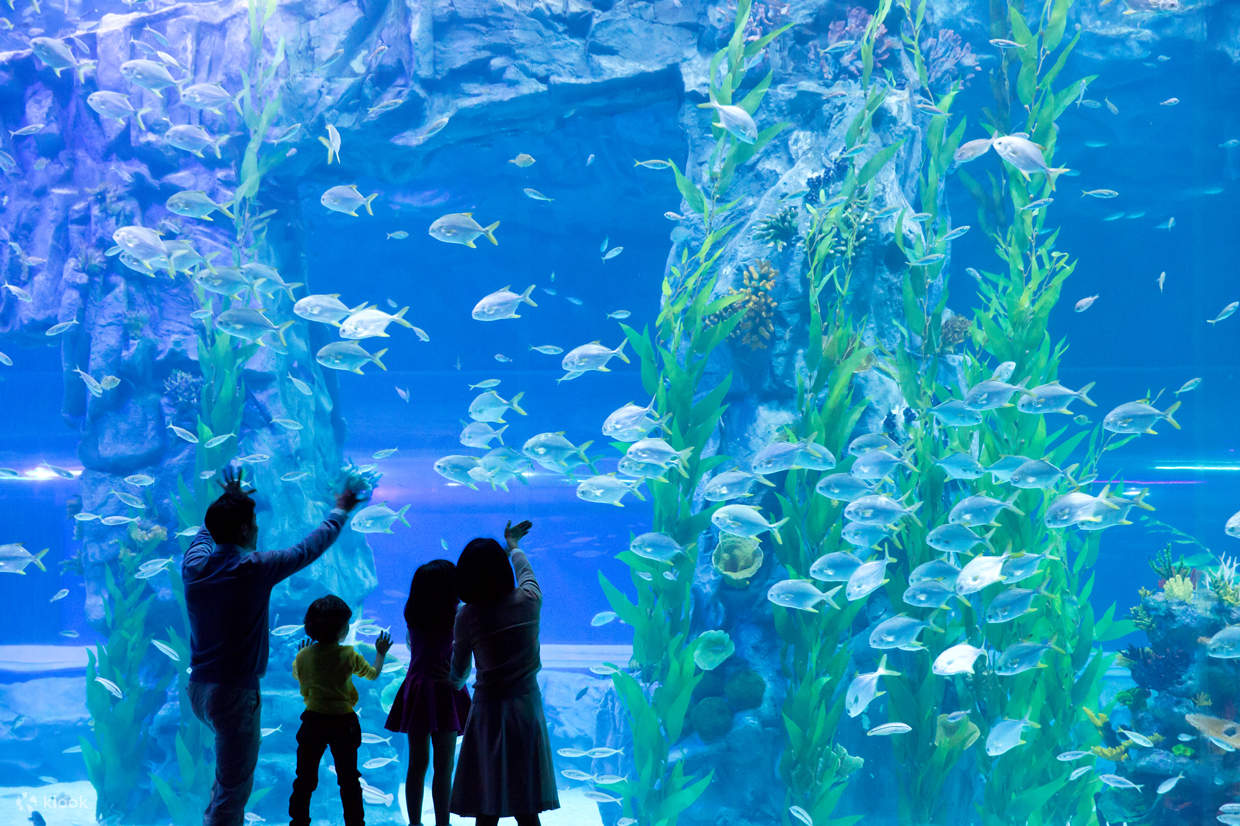 famiglia davanti a un acquario di pesci