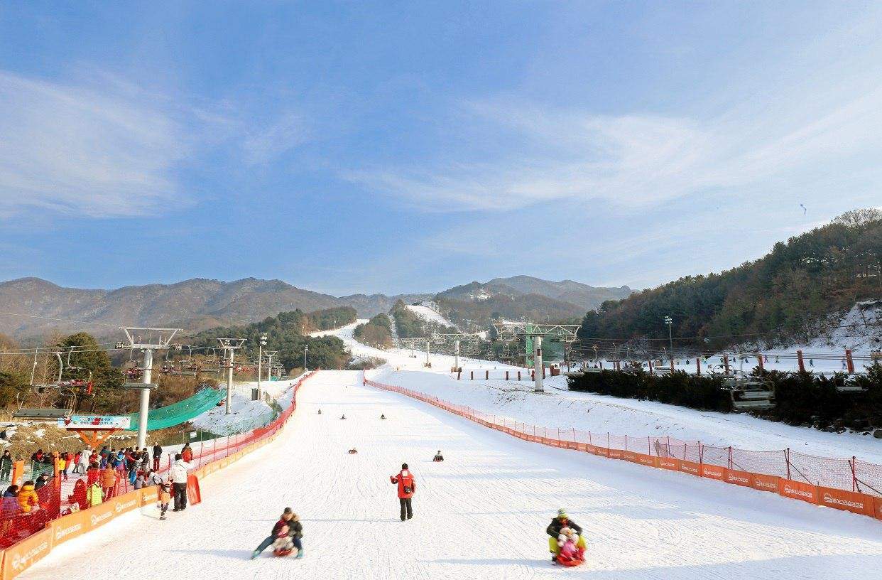 【ソウル発】貸切チャーター車：抱川アートバレー、ハーブアイランド、ニジモリスタジオ、山井湖、いちご狩り体験