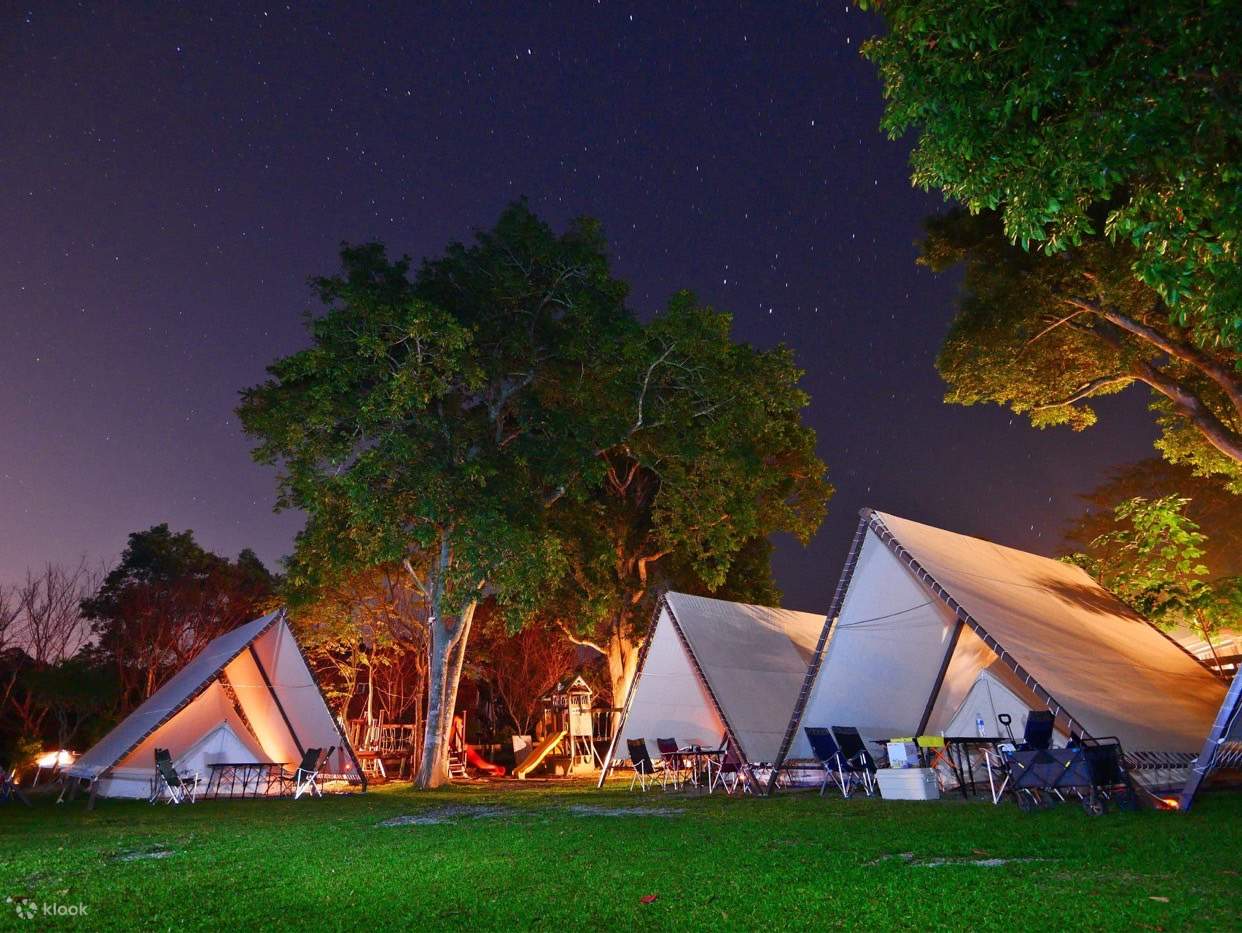 Miaoli : Whispering Tree Campground의 벨 텐트 글램핑 체험 - 클룩 Klook 한국