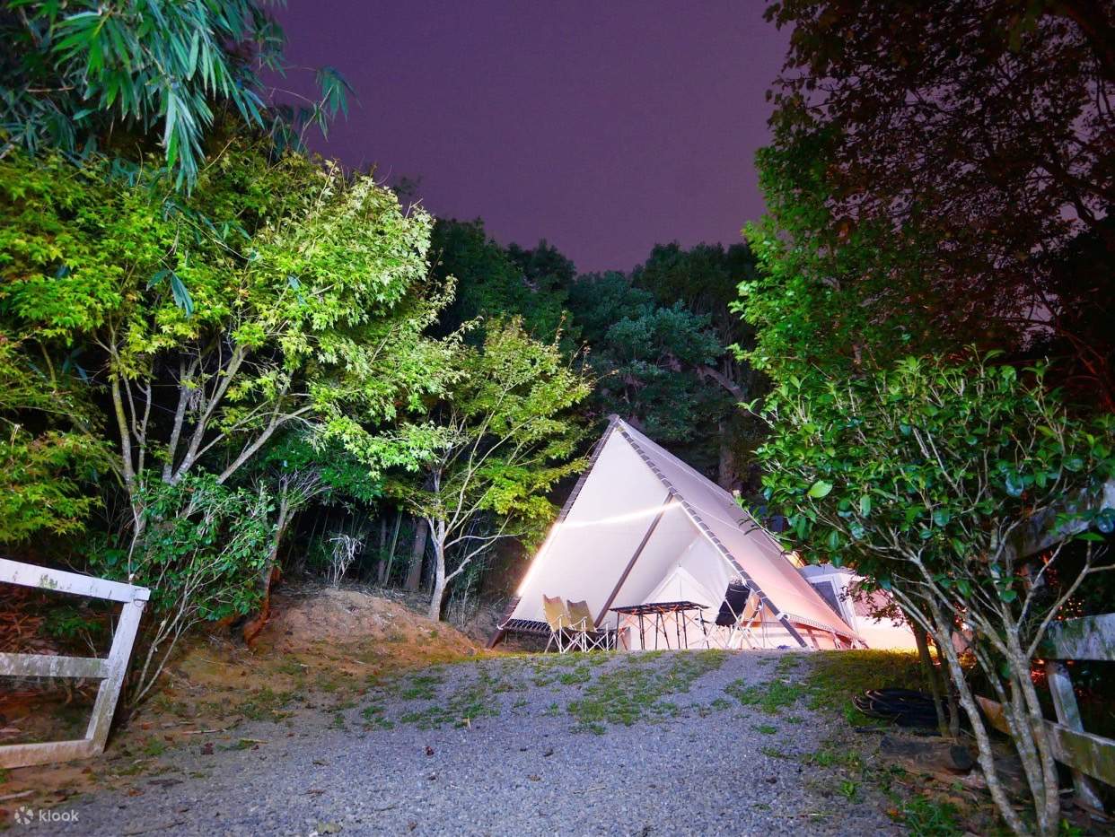 Árboles que susurran estrellas claras