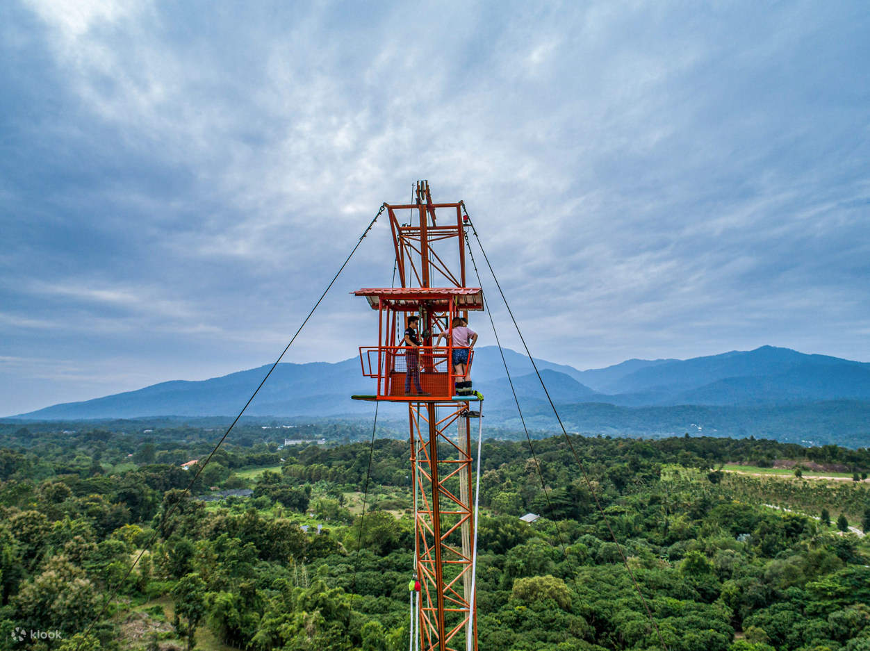 Ricevi un certificato di coraggio per dimostrare di aver superato le tue paure.