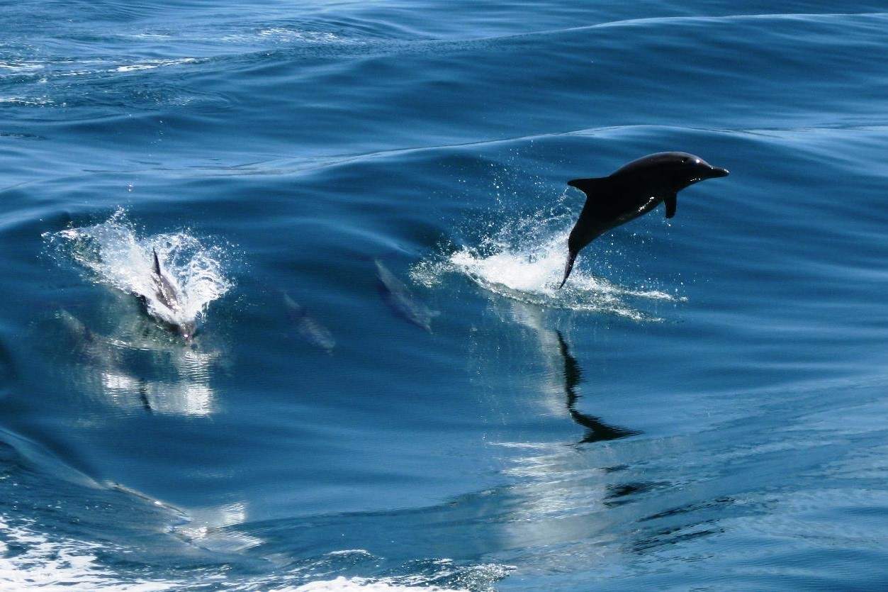 làn nước trong vắt