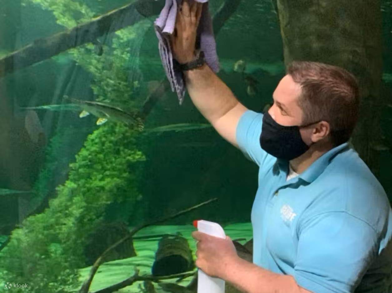 Tarikan dalaman yang hebat untuk keluarga, kumpulan atau lawatan sekolah