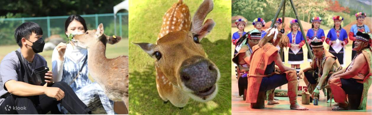 Tsou Deer Hunting Cultural and Creative Park