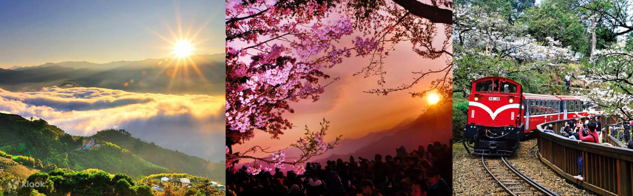 阿里山森林遊楽区