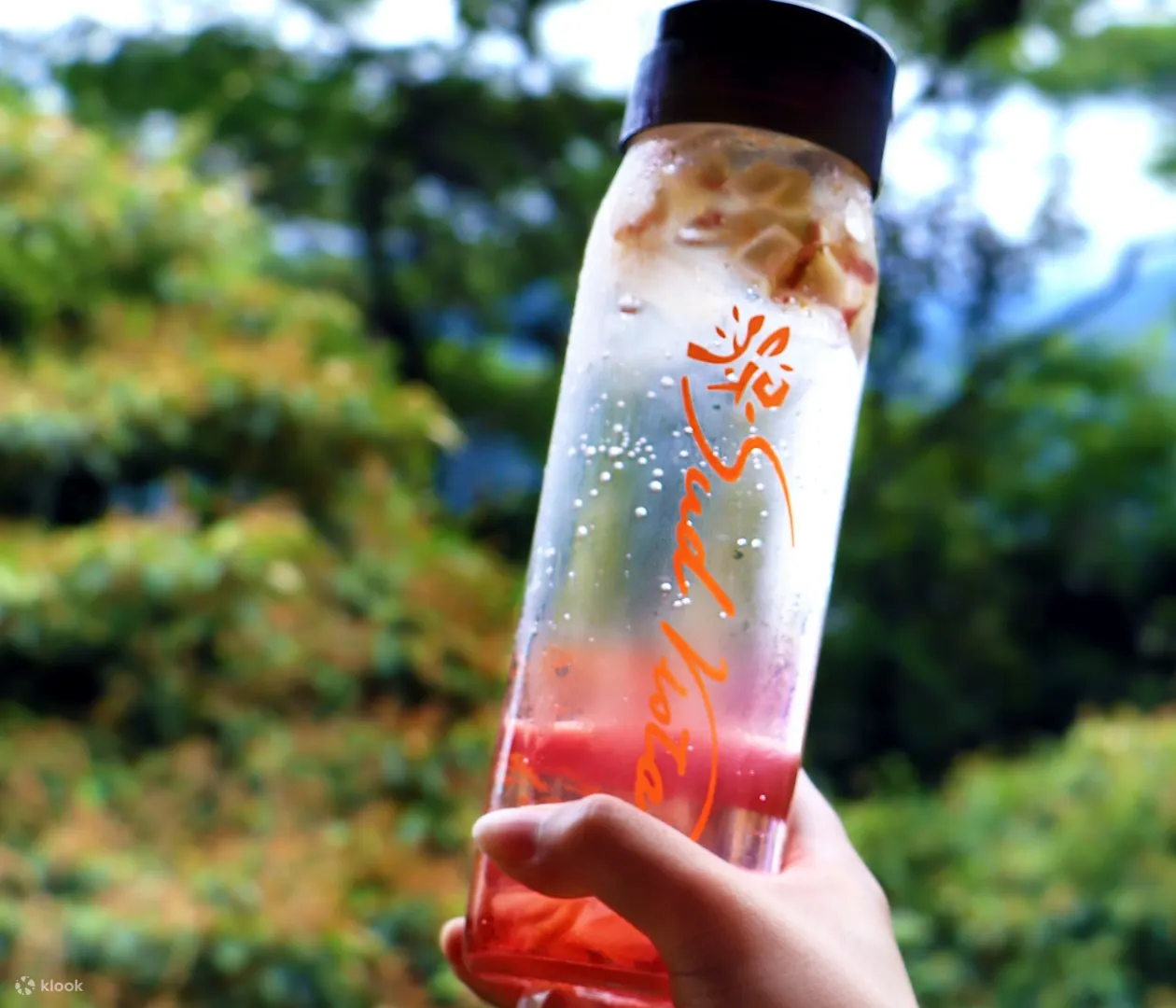 桂花乌龙冷泡茶