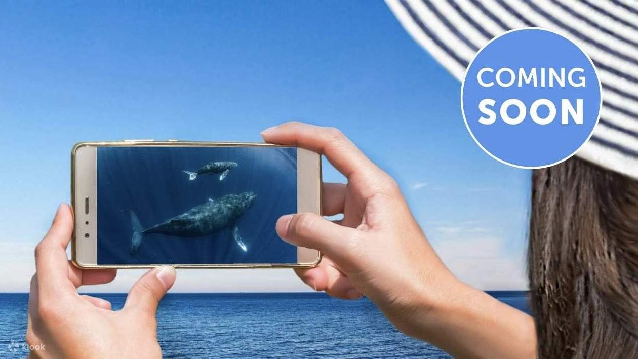 Новая функция