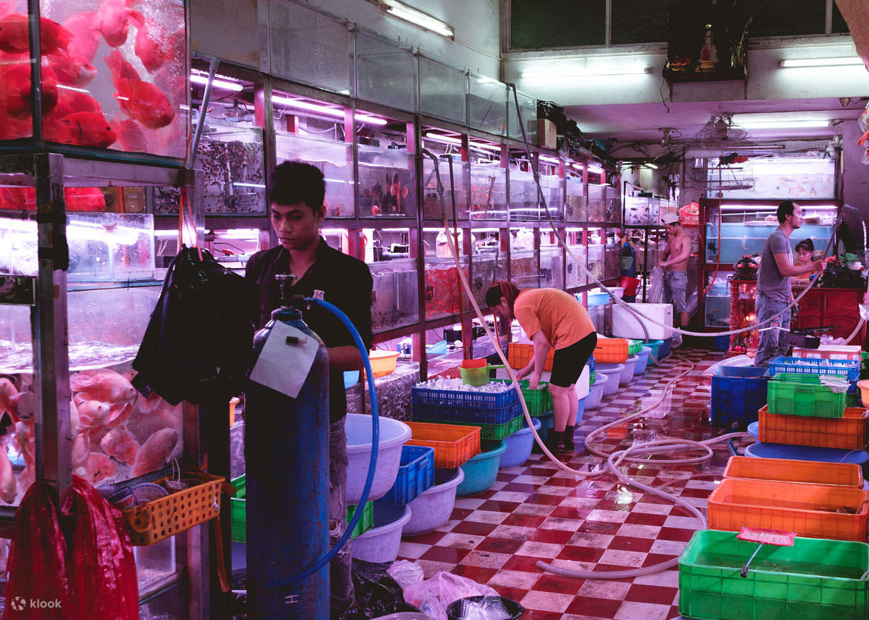 胡志明市終極攝影體驗