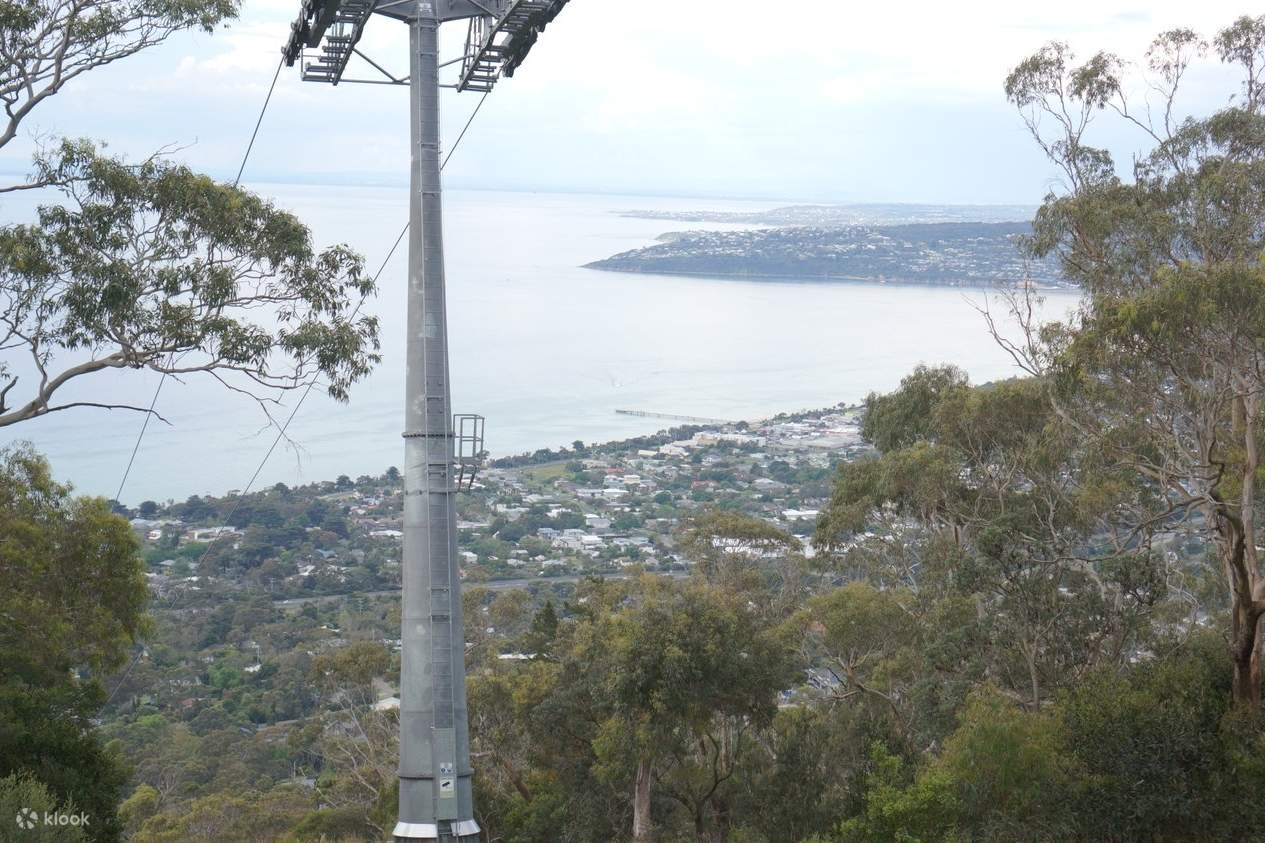 mornington-peninsula-private-tour-klook