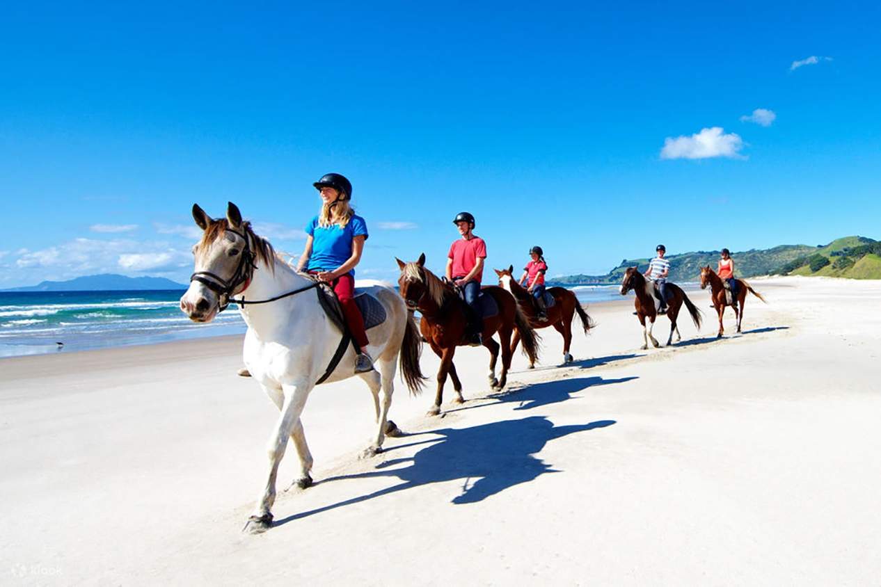 Porno 8 yigitlar 1 qiz uchun Onlayn porno tomosha qilish shunchaki jannat