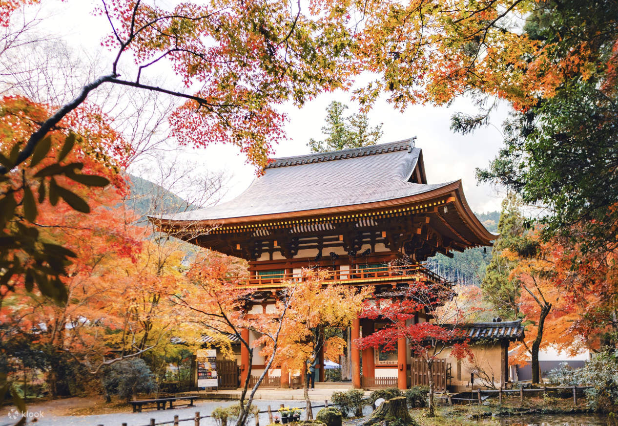 Osaka-Nara Discovery Pass