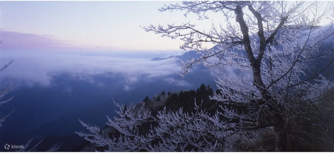 太平山国家森林游乐区