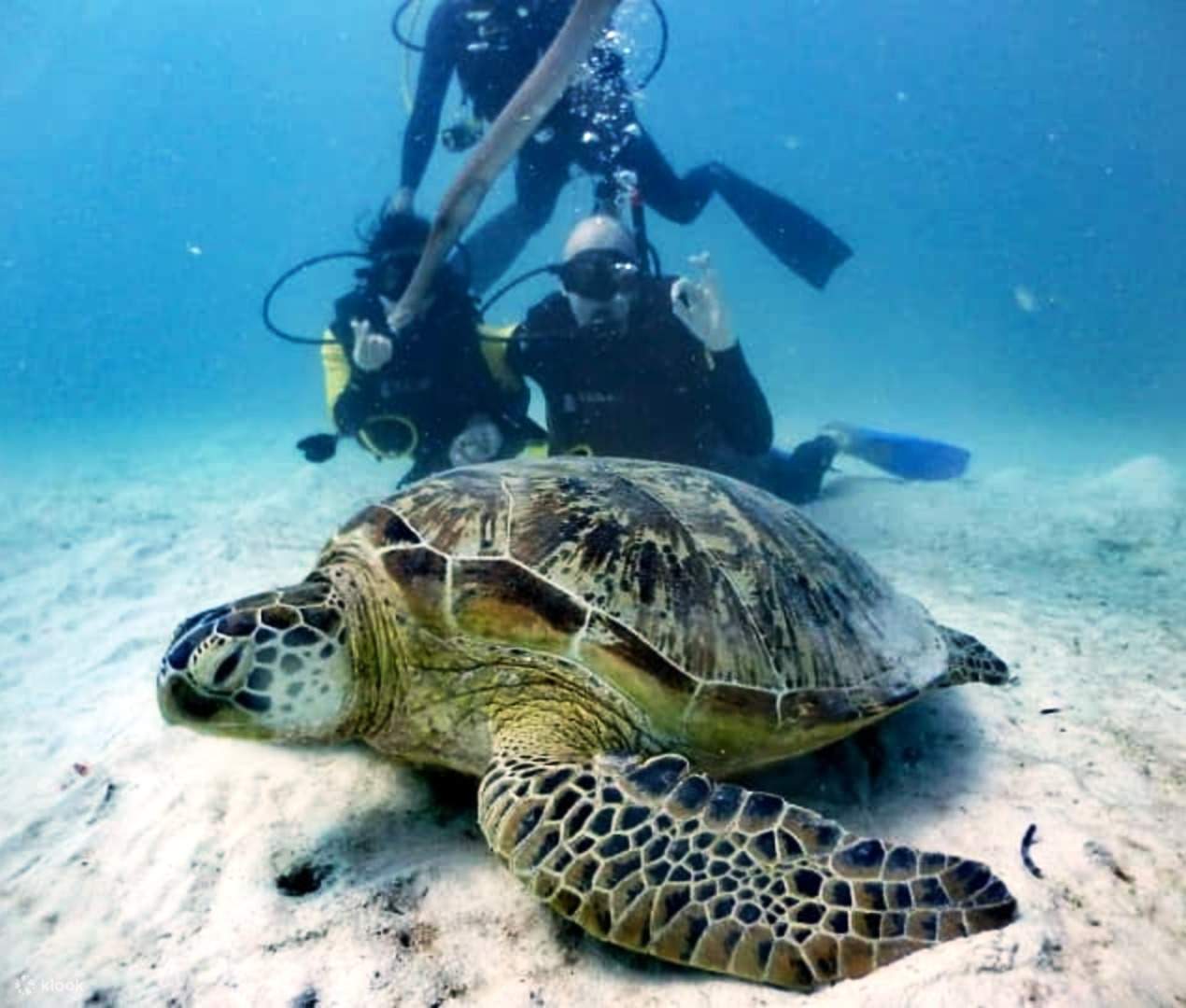 tun-sakaran-marine-park-leisure-diving-experience-in-semporna-klook