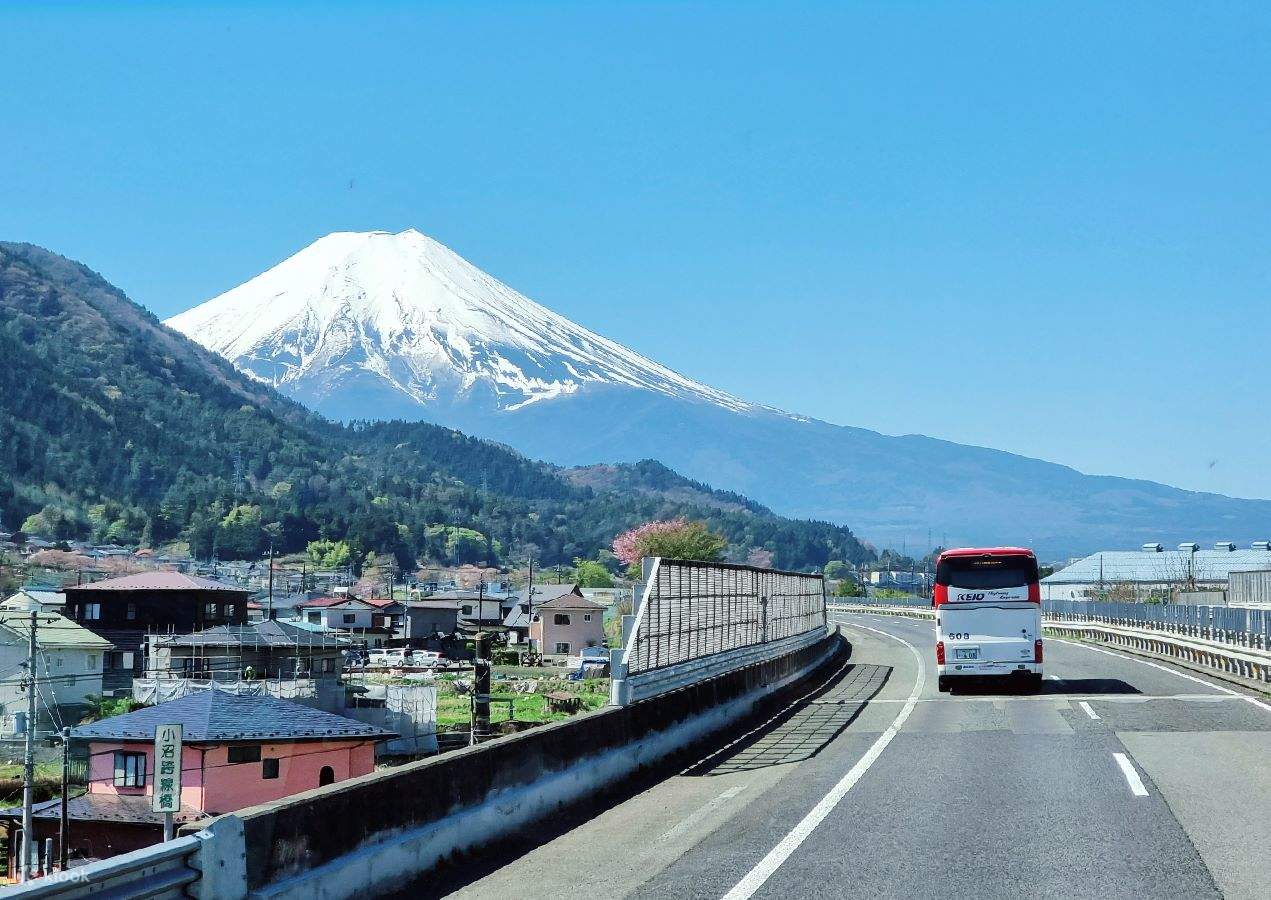 Mt. Fuji & Hakone Day Tour from Tokyo Klook Australia
