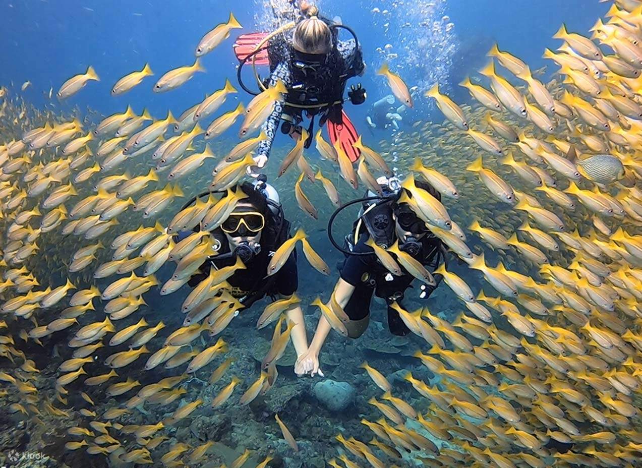 PADI Advanced Open Water Diver