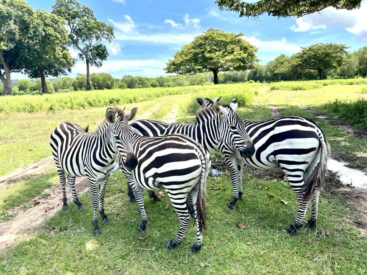 coron-calauit-safari-tour-klook-philippines
