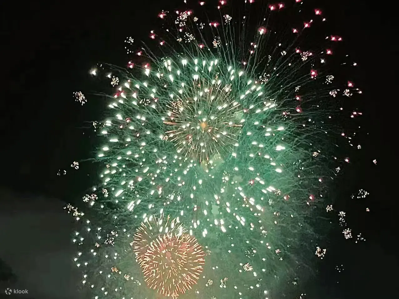游船观赏 I 足立花火大会 I 和牛寿喜锅&传统日式表演&免费软饮&赠送小吃（东京）
