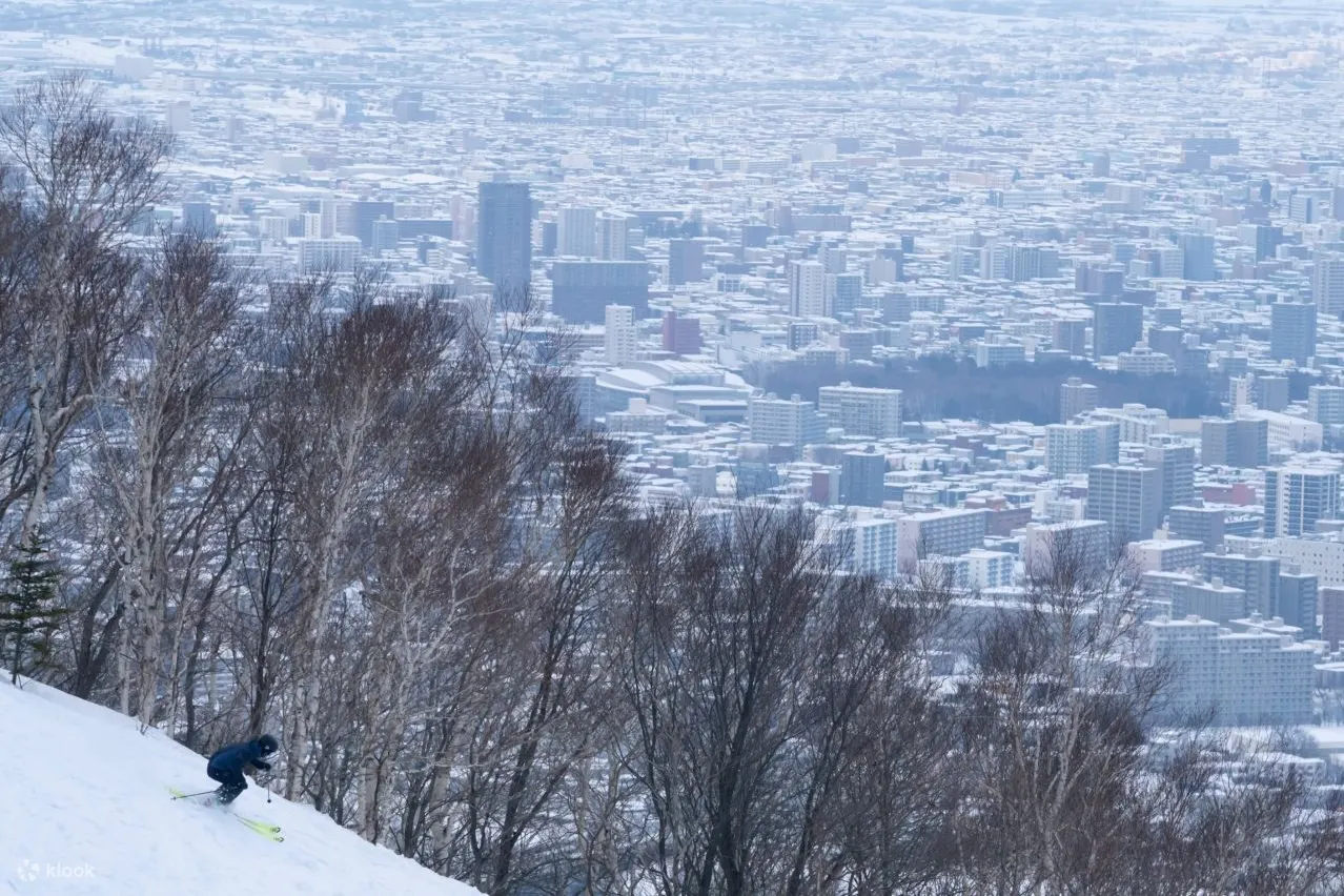 View of Sapporo City