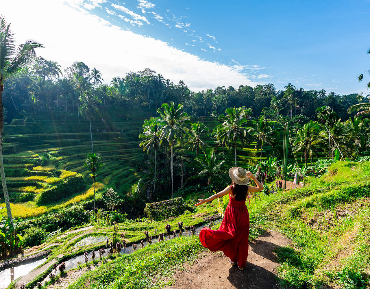전 세계적으로 유명한 우붓의 아름다운 논을 방문해보세요.