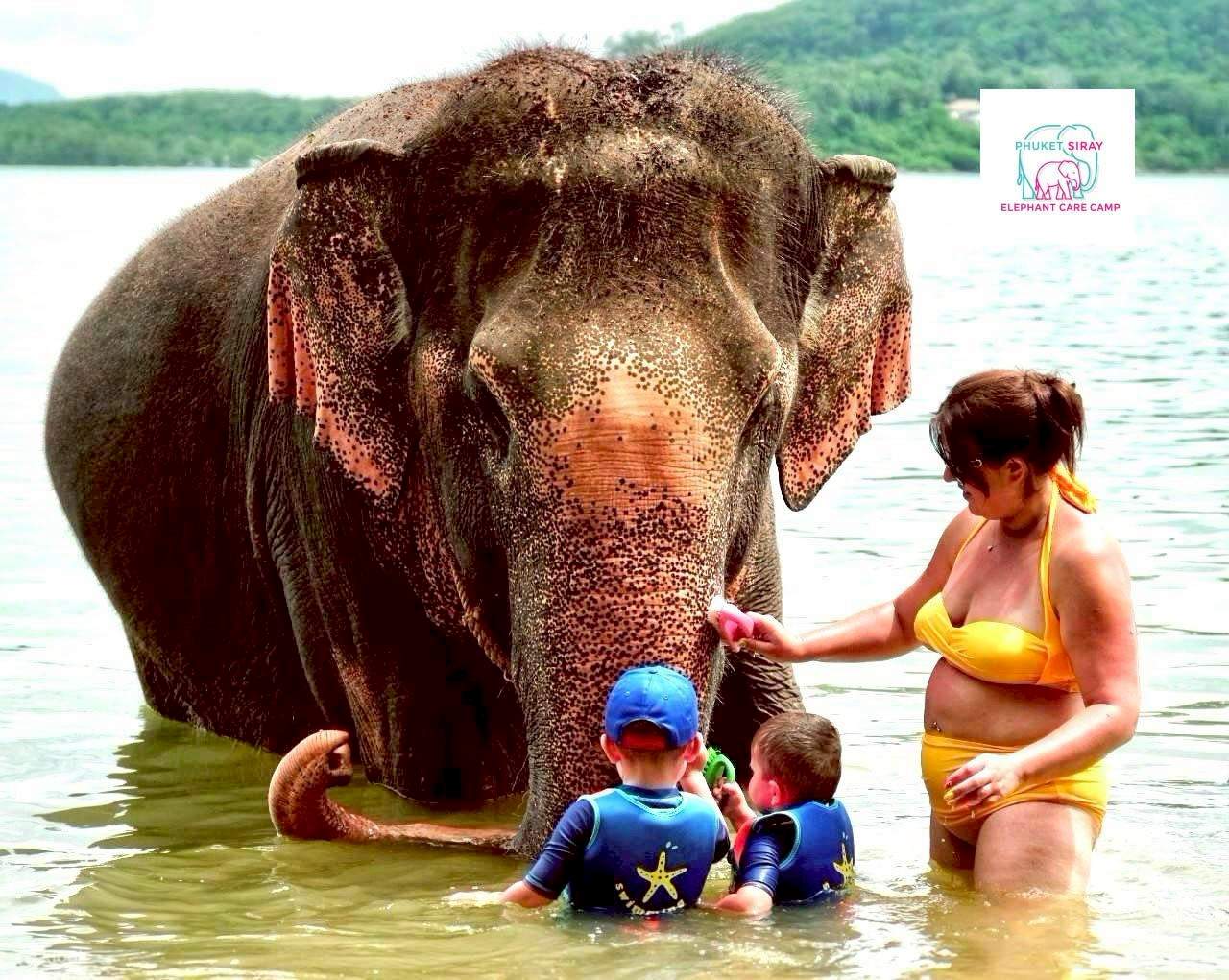 Trải nghiệm với voi và bãi biển tại Phuket Siray Elephant Care Camp