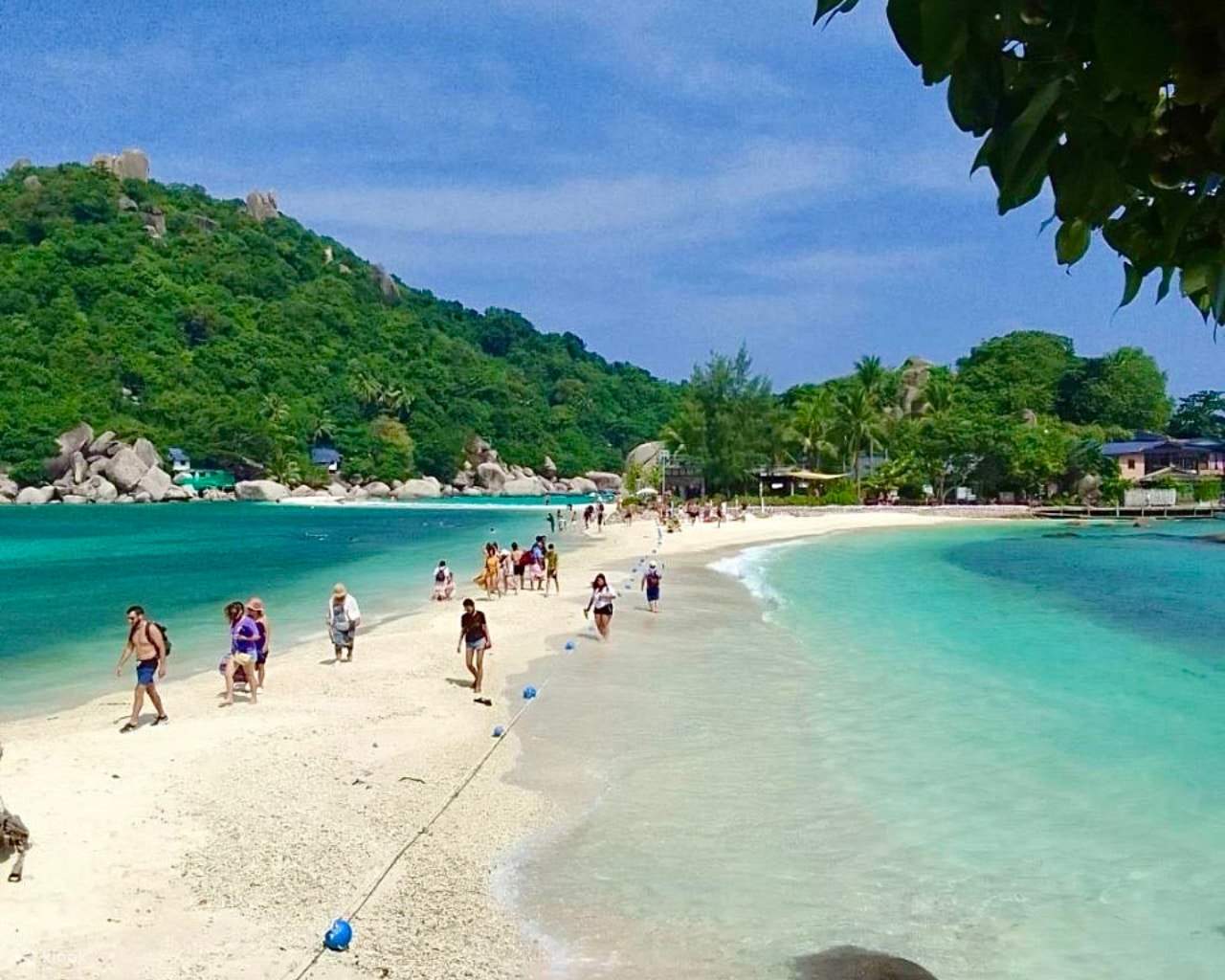 Join In 7 Hours Snorkeling Day Trip In Ko Tao & Ko Nang Yuan in Suratthani Klook