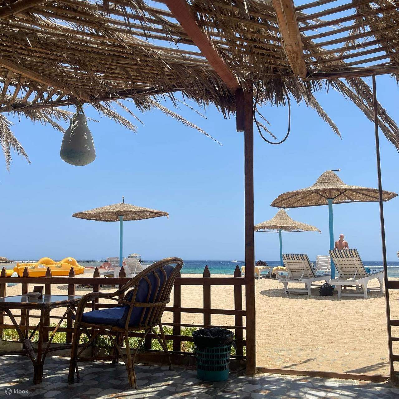 在色彩缤纷的鱼群和错综复杂的珊瑚群中畅游。