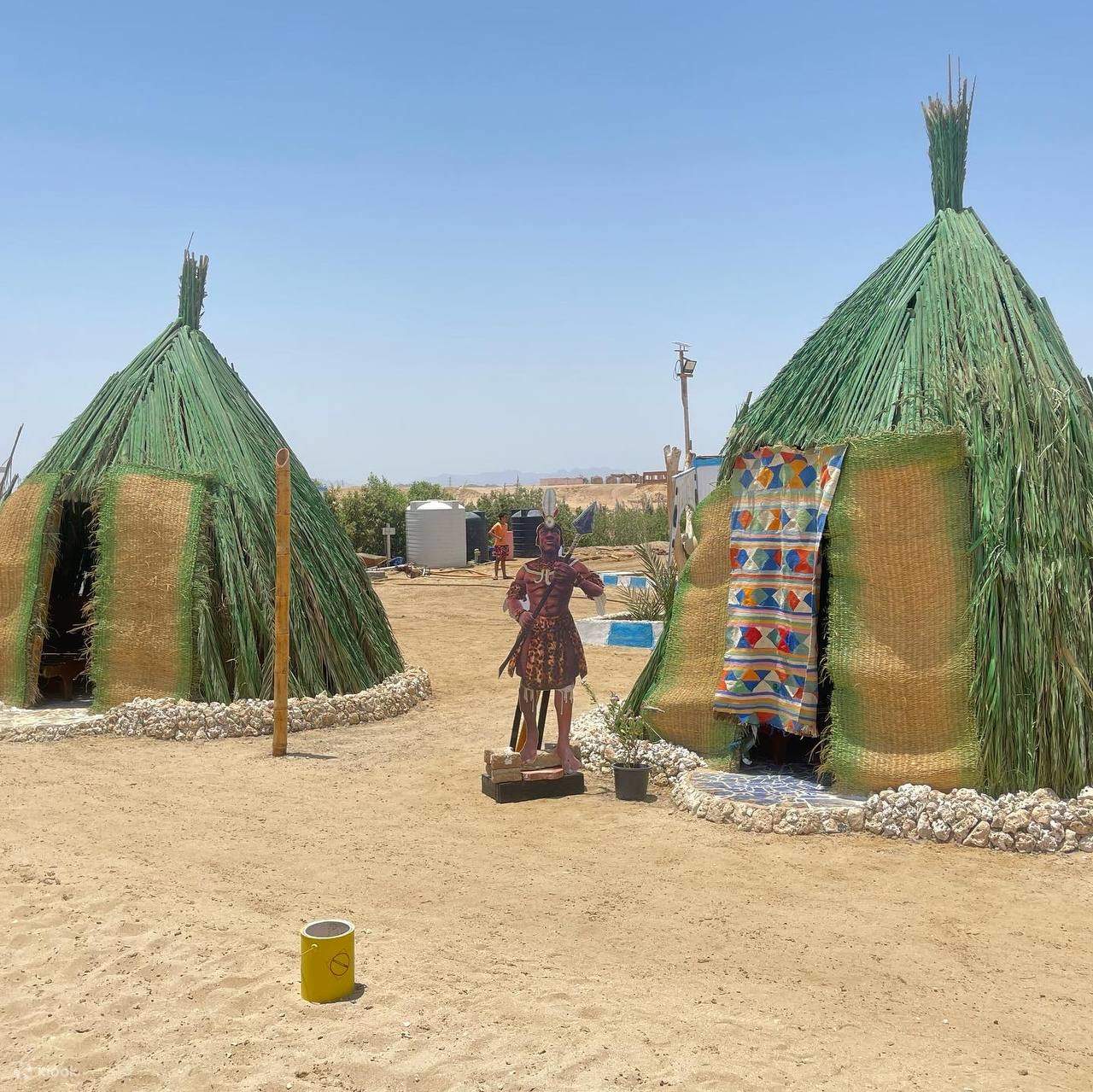 Discover an underwater paradise filled with marine biodiversity.