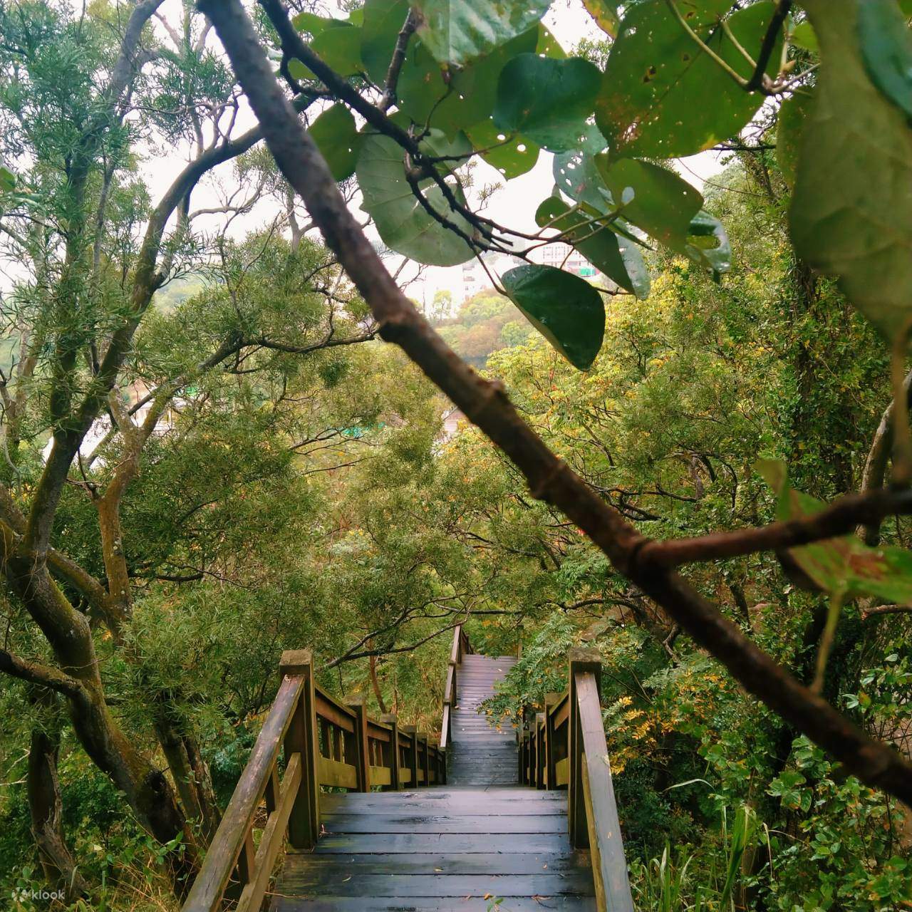 모리미하라 ALIVE 글램핑 베이스