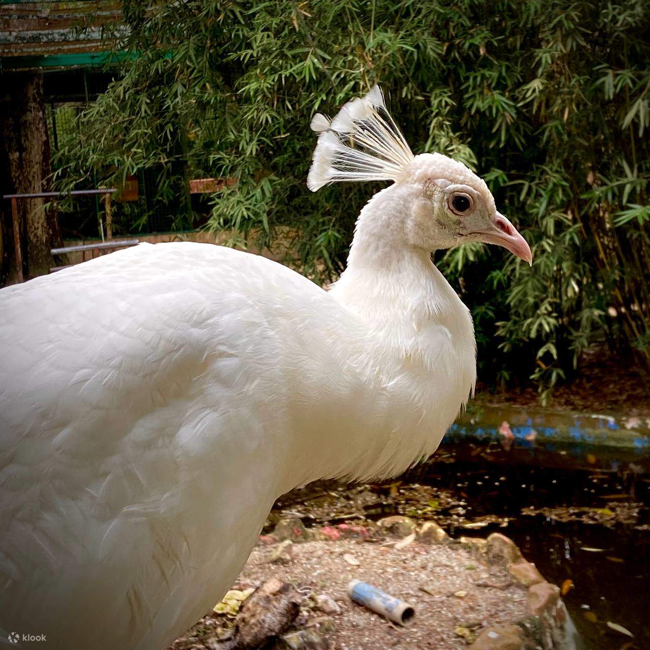 Langkawi Wildlife Park Ticket