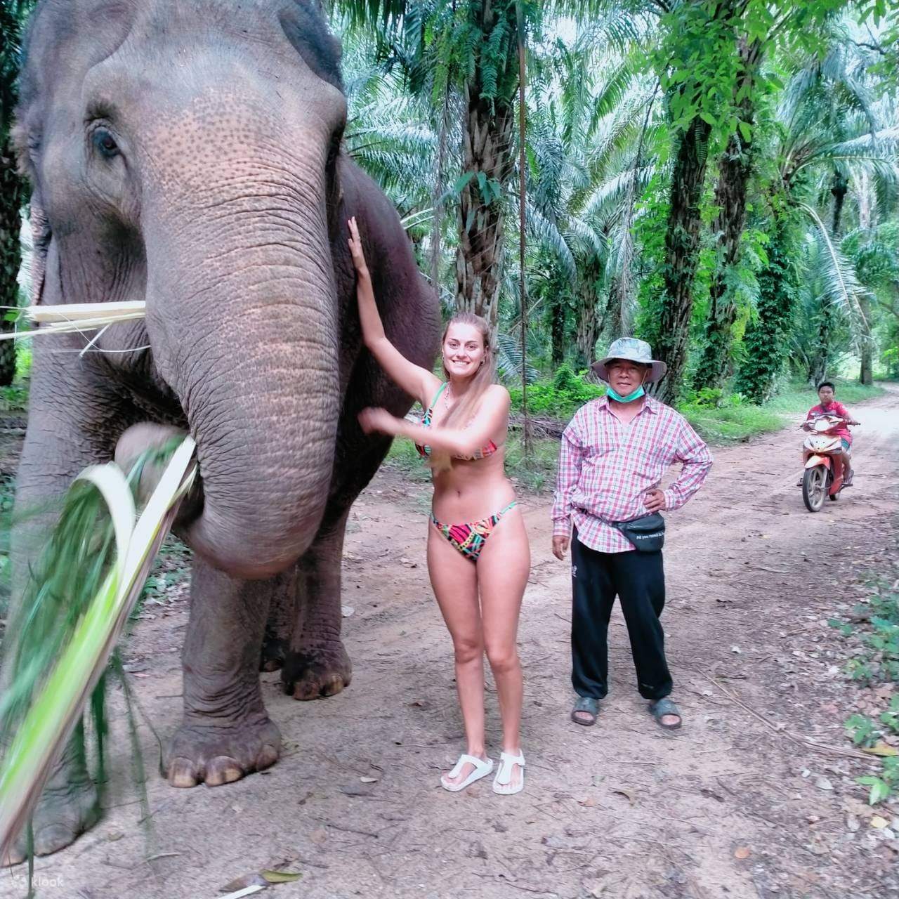 Тур на полдня в Krabi Elephant Care House