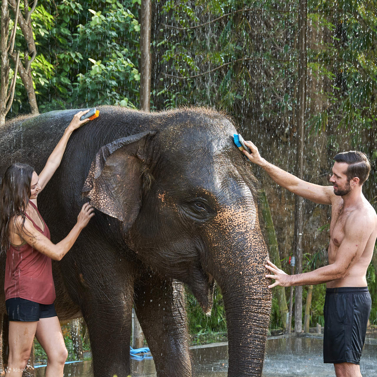 Bali zoo - mandi gajah