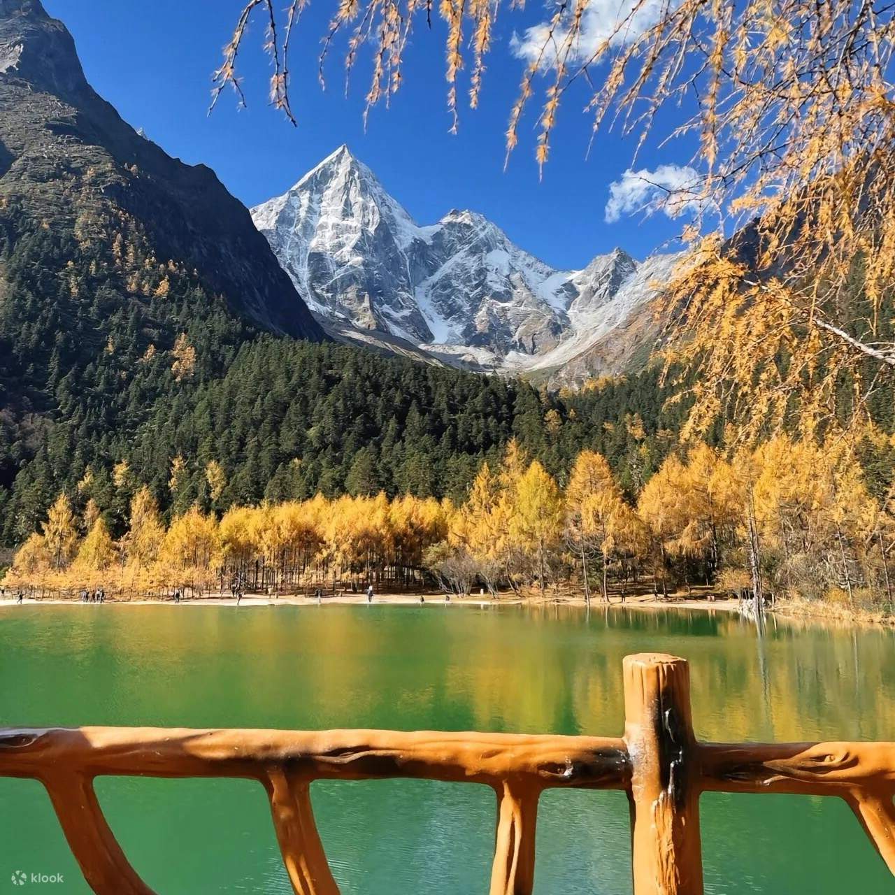Sichuan Chengdu Bipenggou + Ganbao Tibetan Village 1-Day Pure Play Tour  (Primeval Forest + Plateau Snow Mountain + Tibetan and Qiang Culture Pure  Play) - Klook Singapore