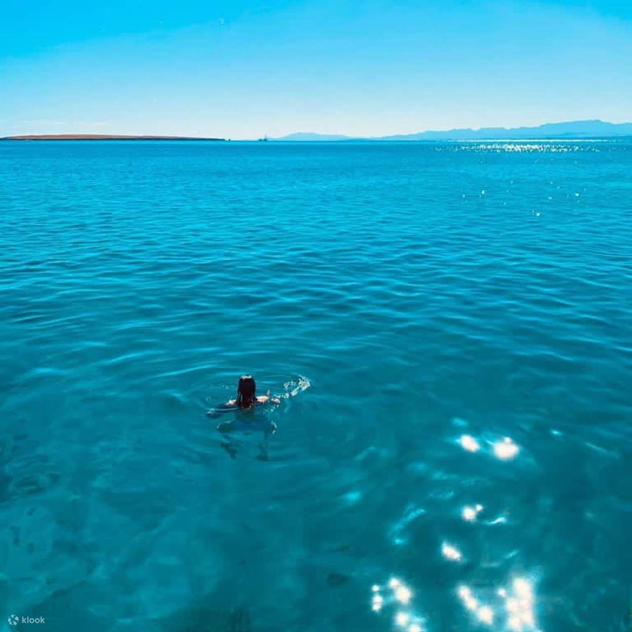 ทริปดำน้ำตื้นที่ Marsa Mubarak พร้อมบริการรับส่งและอาหารกลางวัน – Marsa Alam