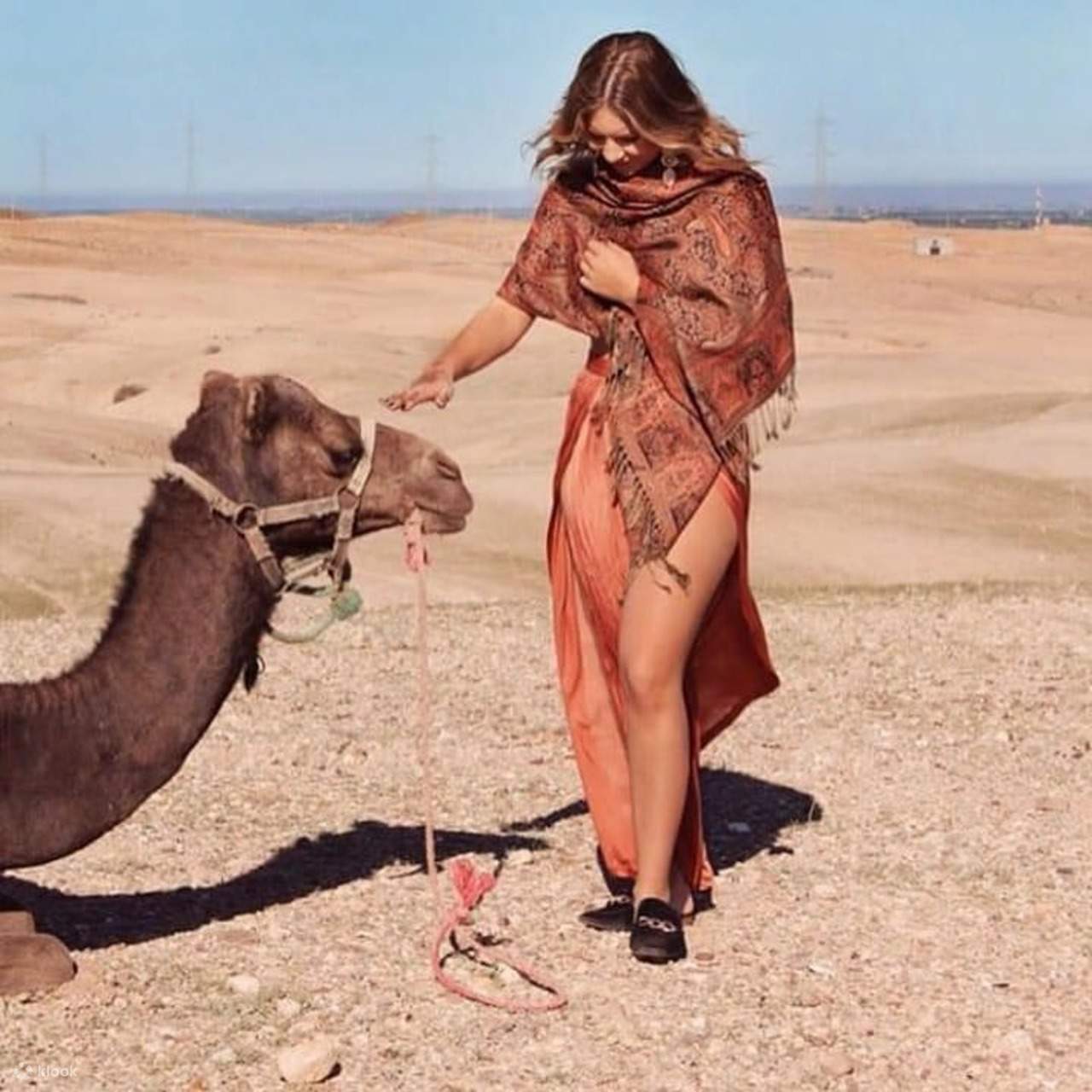 アガファイ砂漠：四輪バイク、ラクダ乗り体験＆ディナーショー