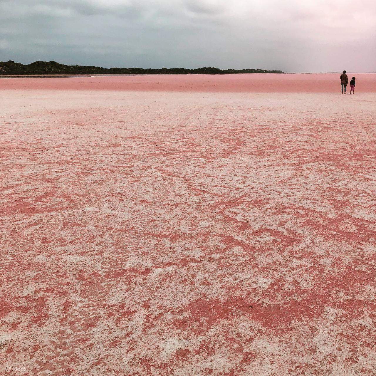 Pink Lake 4x4 Buggy Tour in Geraldton Tour Klook Singapore