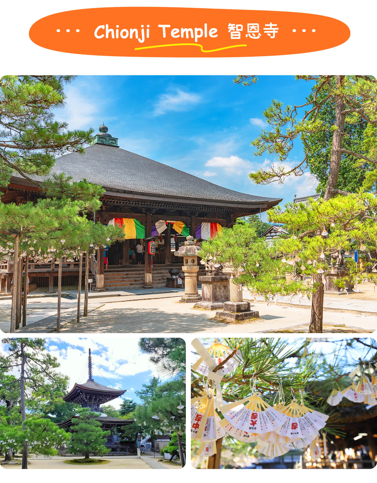 大阪出发的天桥立、伞松公园和伊根船屋参加一日巴士游 - Klook